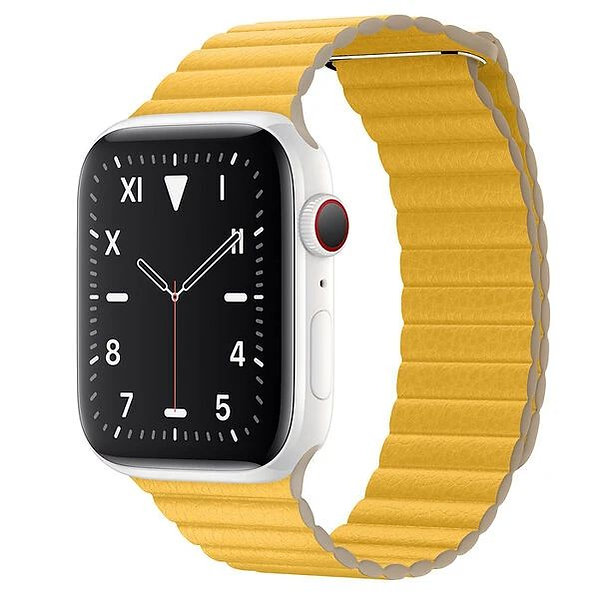 Apple Watch Series 5